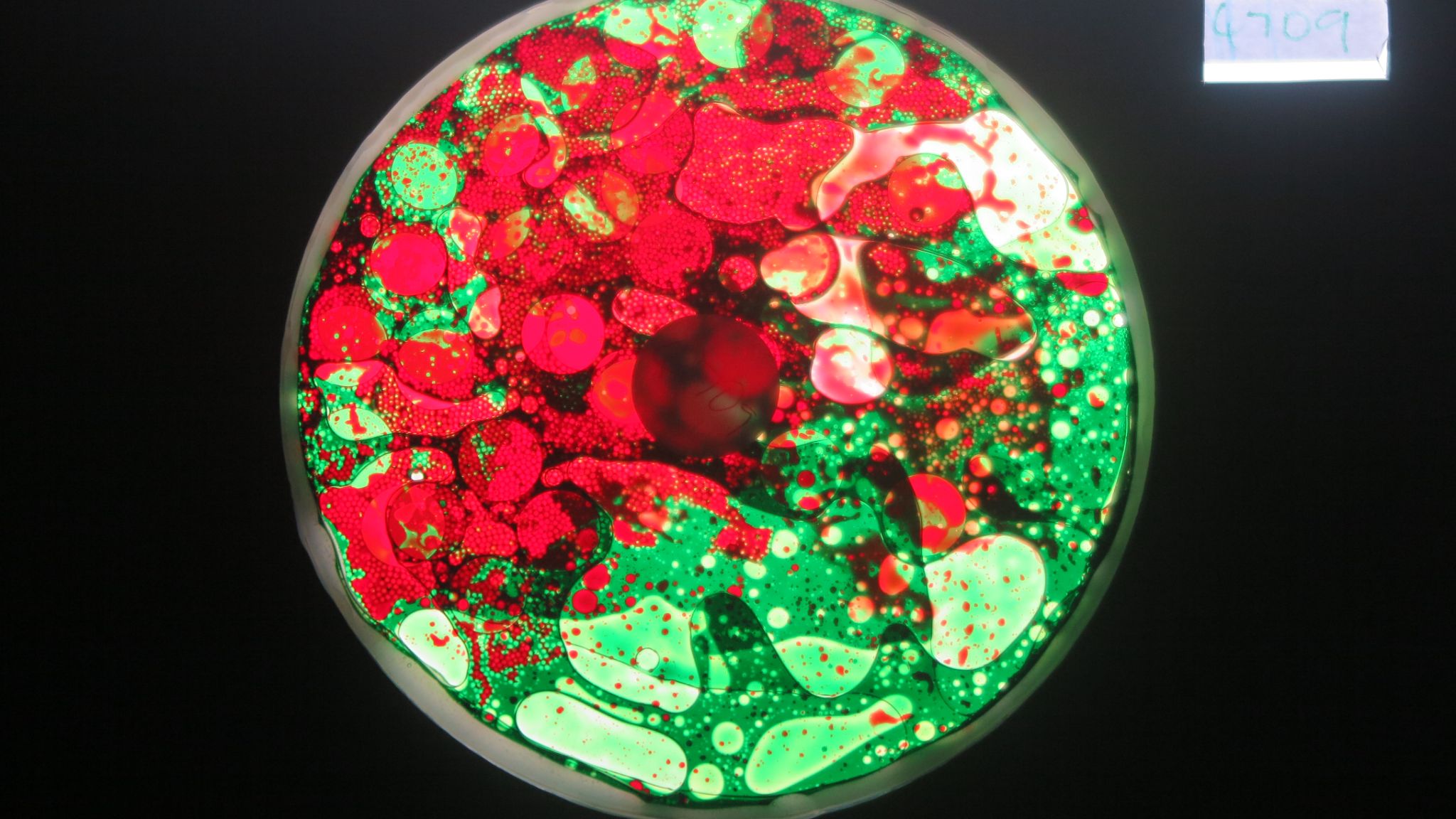 BV4709 bubble vision oil wheel